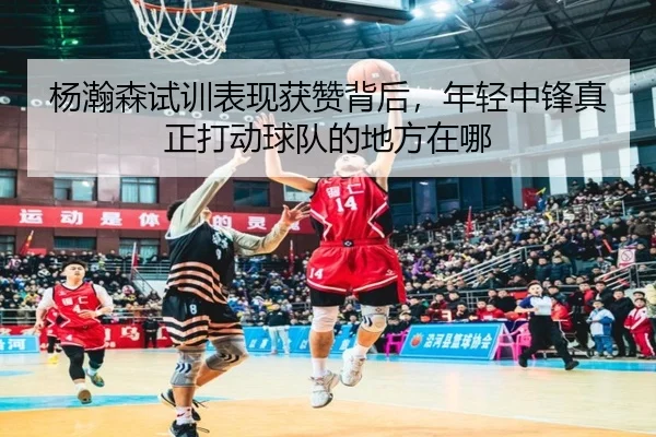 杨瀚森试训表现获赞背后，年轻中锋真正打动球队的地方在哪